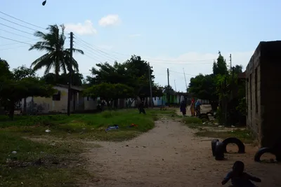 DSC_8999 (Large).JPG